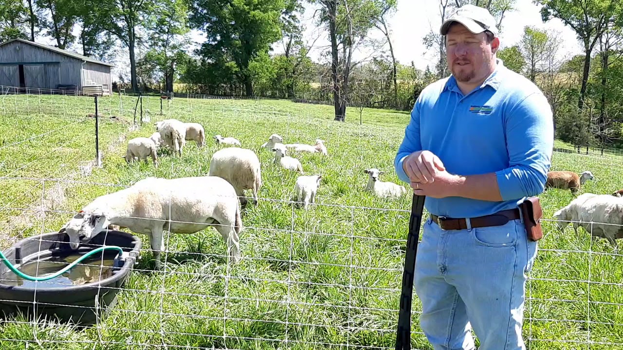 Rotational Grazing on Small Acreages - Layout and Design