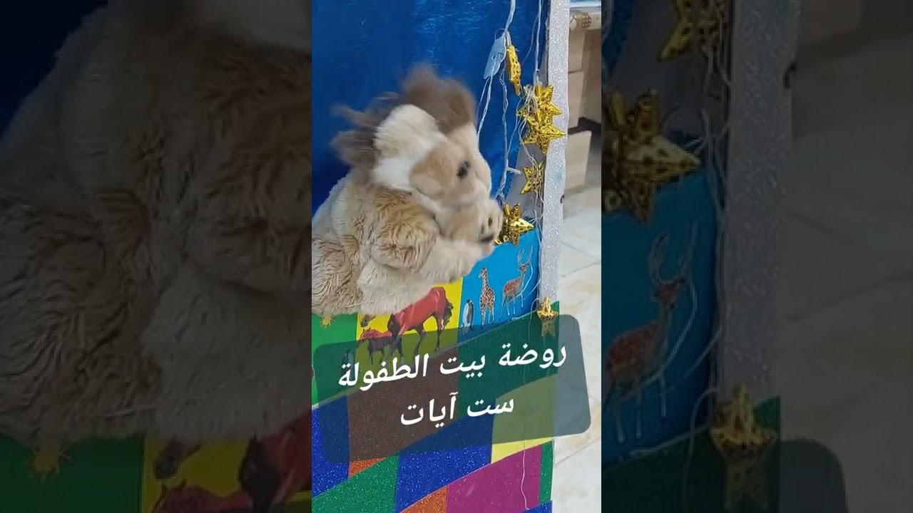 مسرح الدمى
