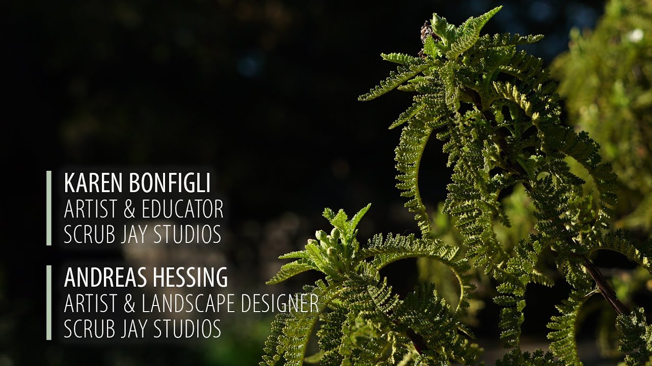 2023 Native Plant Garden Tour: Bonfigli & Hessing