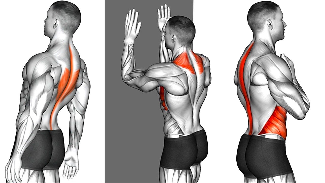 Training For Back Pain - How To Get Started