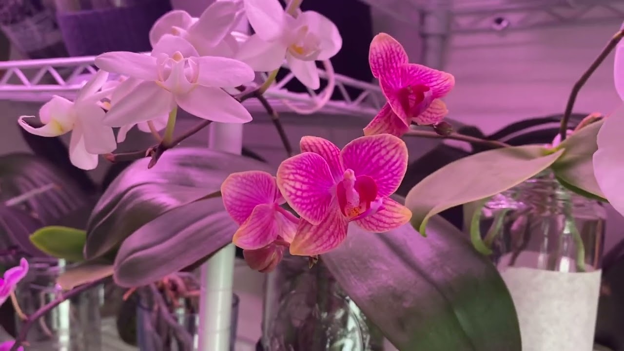 What’s in bloom!