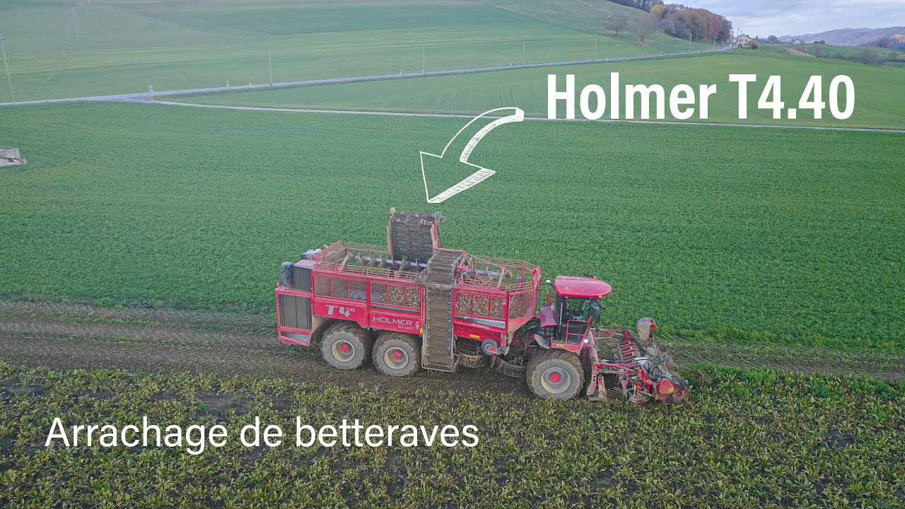Arrachage de betteraves 🍠 2023 | avec une Holmer T4.40 | L’ETA Philippe Glauser