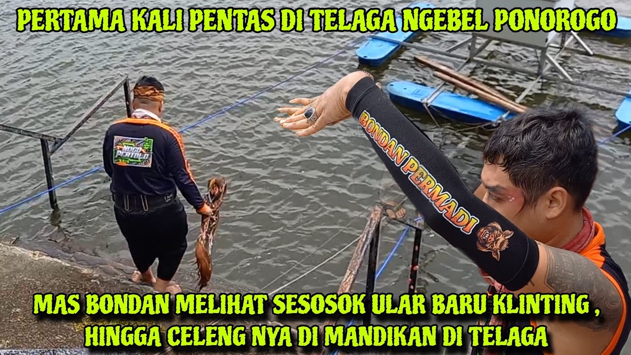 MAS BONDAN MELIHAT SOSOK ULAR BARU KLINTING DI TELAGA NGEBEL - SAMPAI CELENGNYA DI MASUKAN KE TELAGA