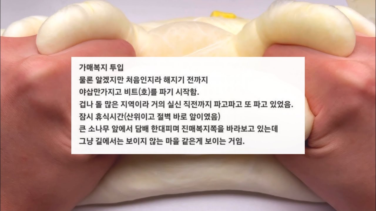 60년대 몰살당한 마을 후일담 소규모 시리즈 액괴 시리즈 액괴 공포 시리즈 시리즈 액괴 공포 시리즈 레딧괴담 시리즈 나폴리탄 괴담 소시액 무서운 이야기 시액 액시 액괴 시리즈