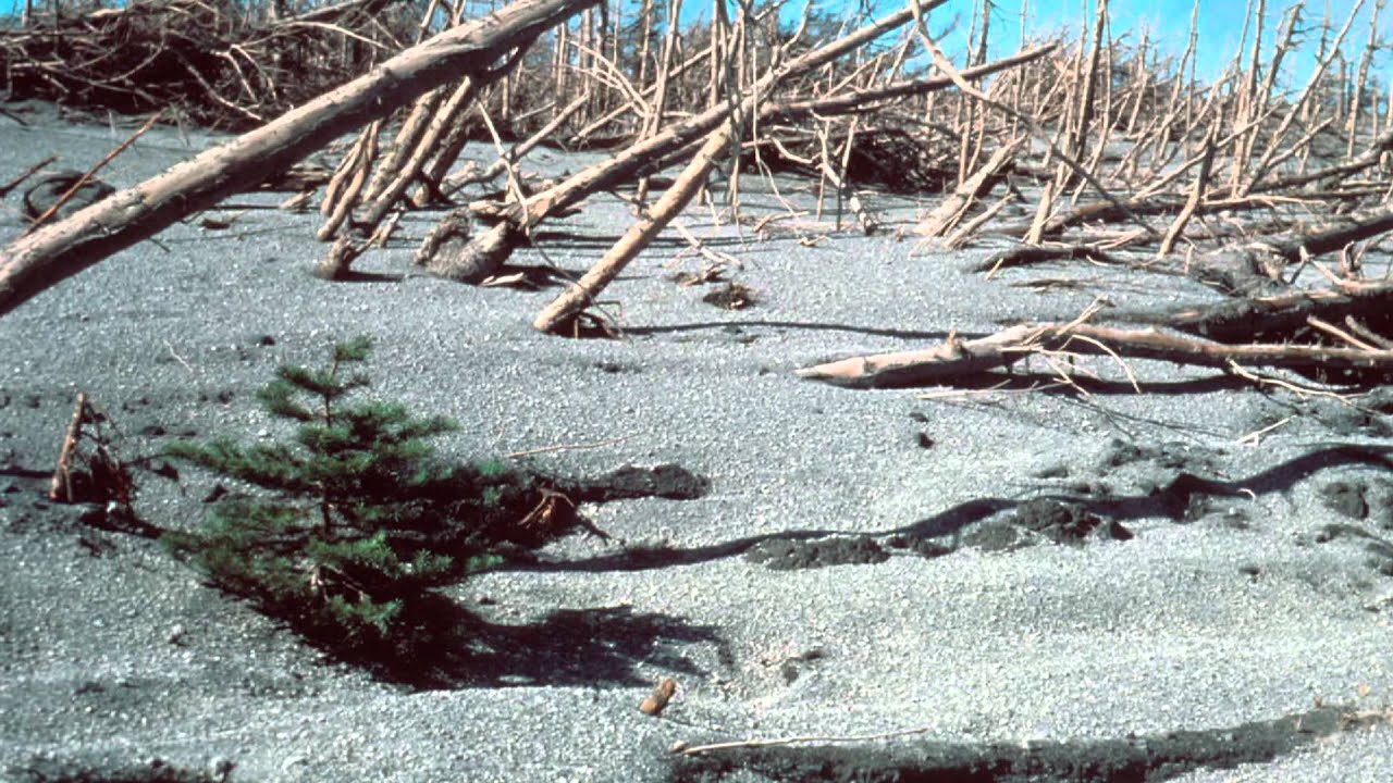AS: Quick Biological Recovery at Mount St. Helens