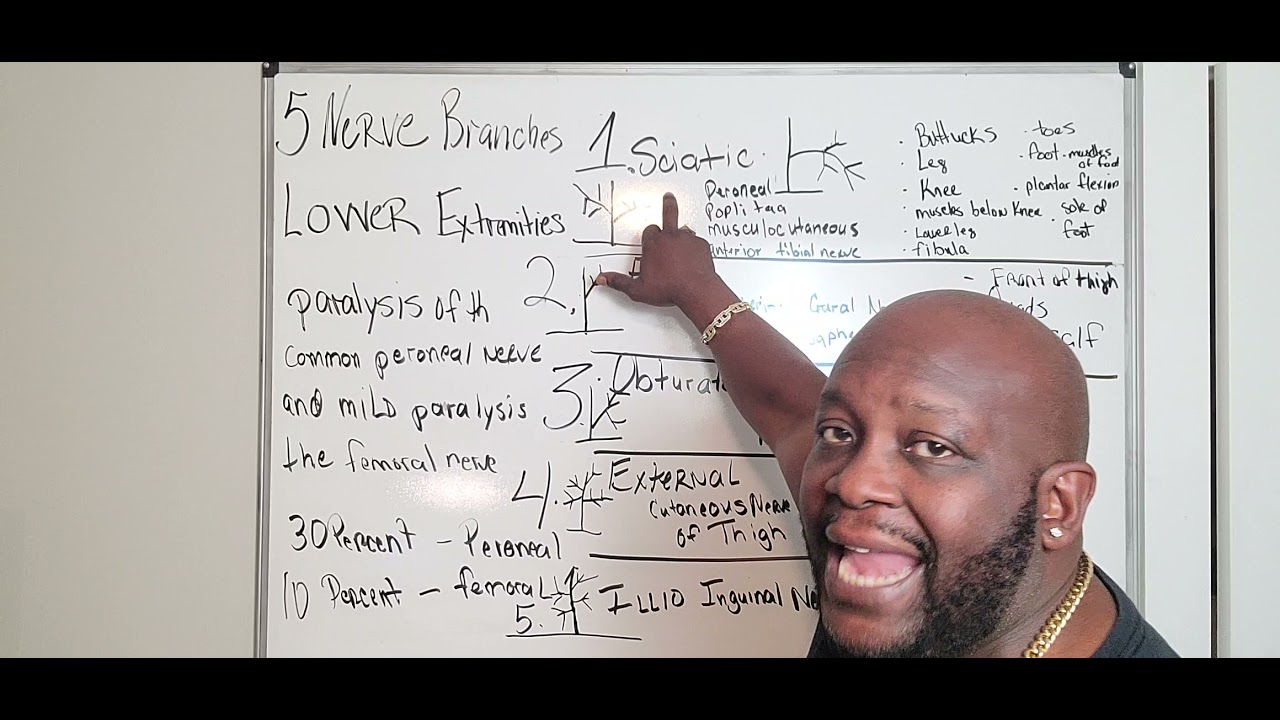 VA Disability: How The 5 Nerve Branches Of Your Lower Extremities Add Up!