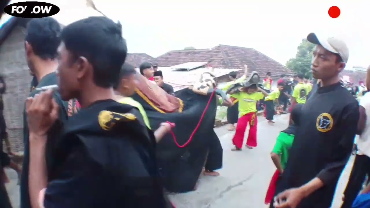 Aksi Kalapan Lembu Akso Rejoh 👍 .tunjukan aksi Heroix