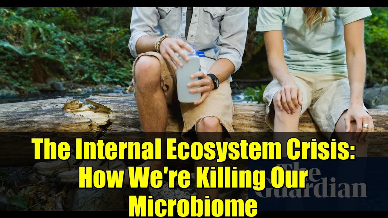 The Internal Ecosystem Crisis: How We're Killing Our Microbiome