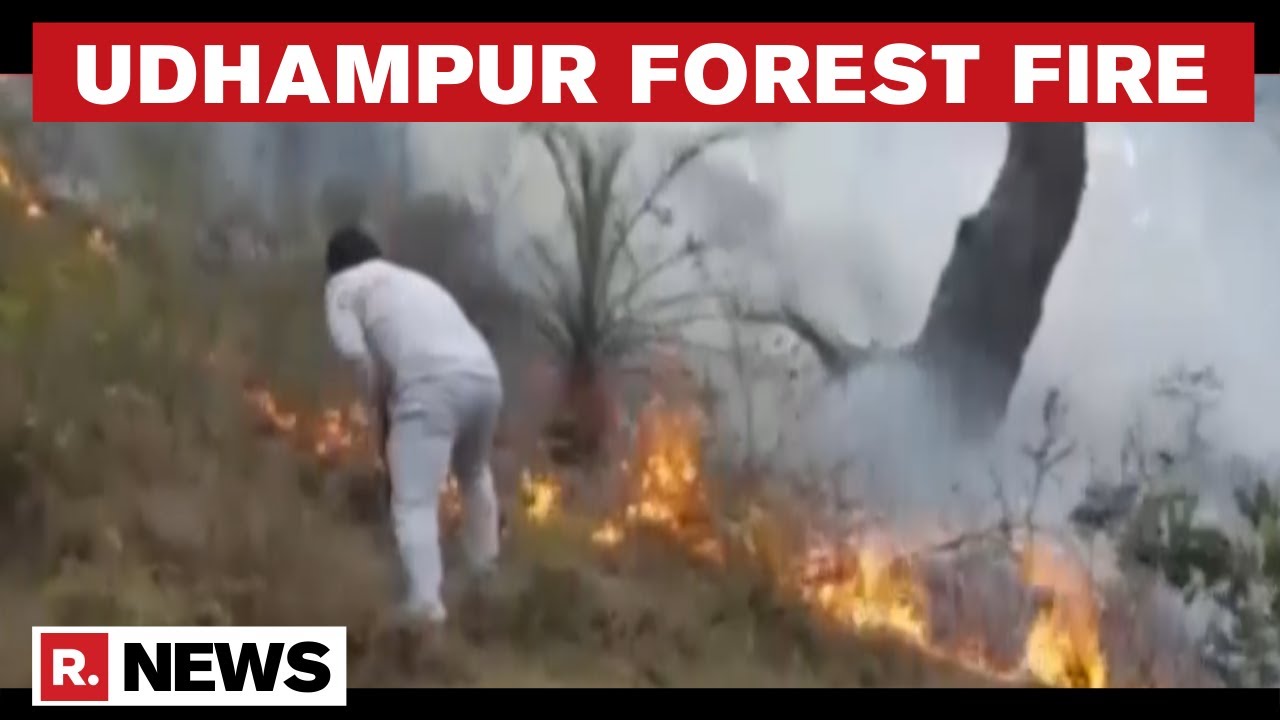 J&K: Forest Fire Breaks Out In Udhampur District, IAF Roped In For Firefighting Ops