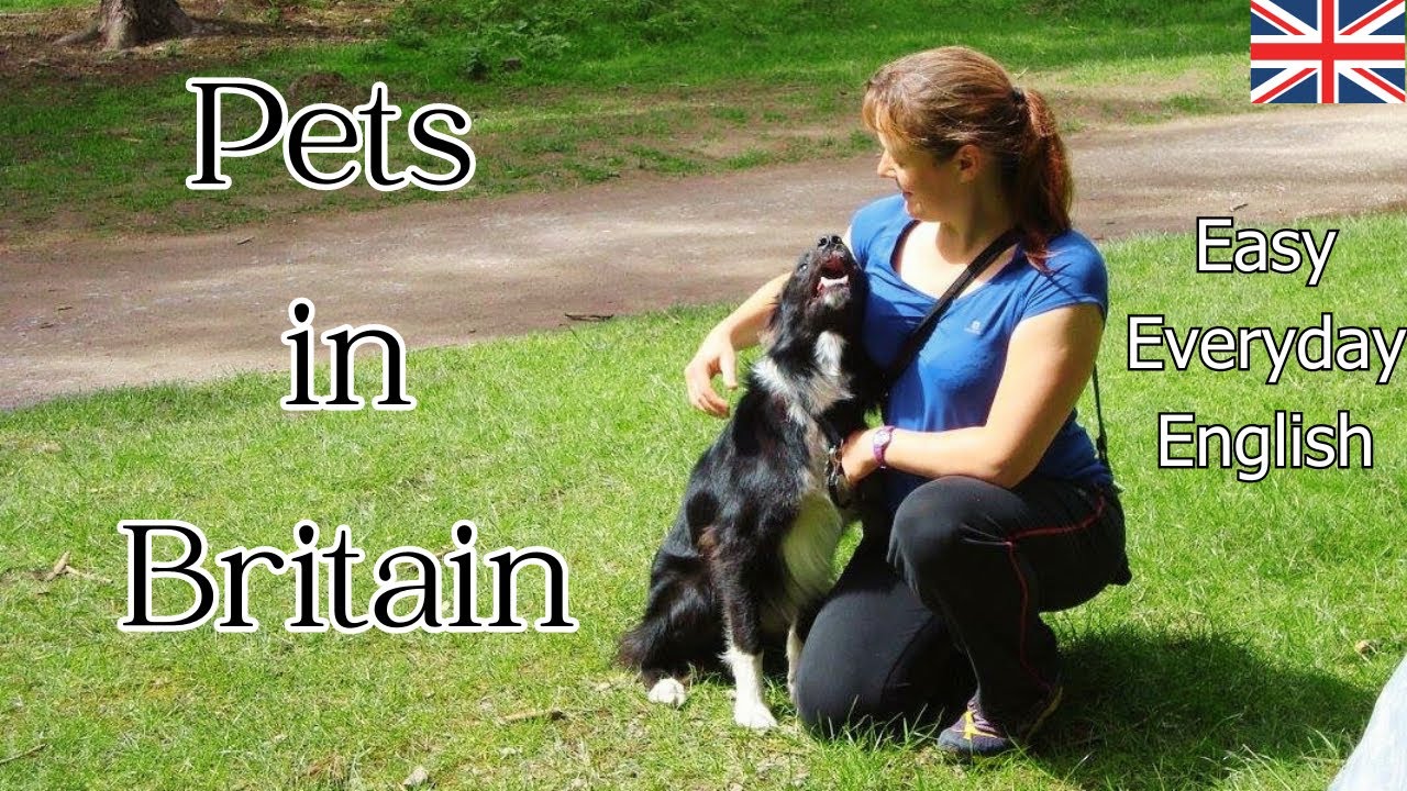Pets in Britain - Easy Everyday English, level A2