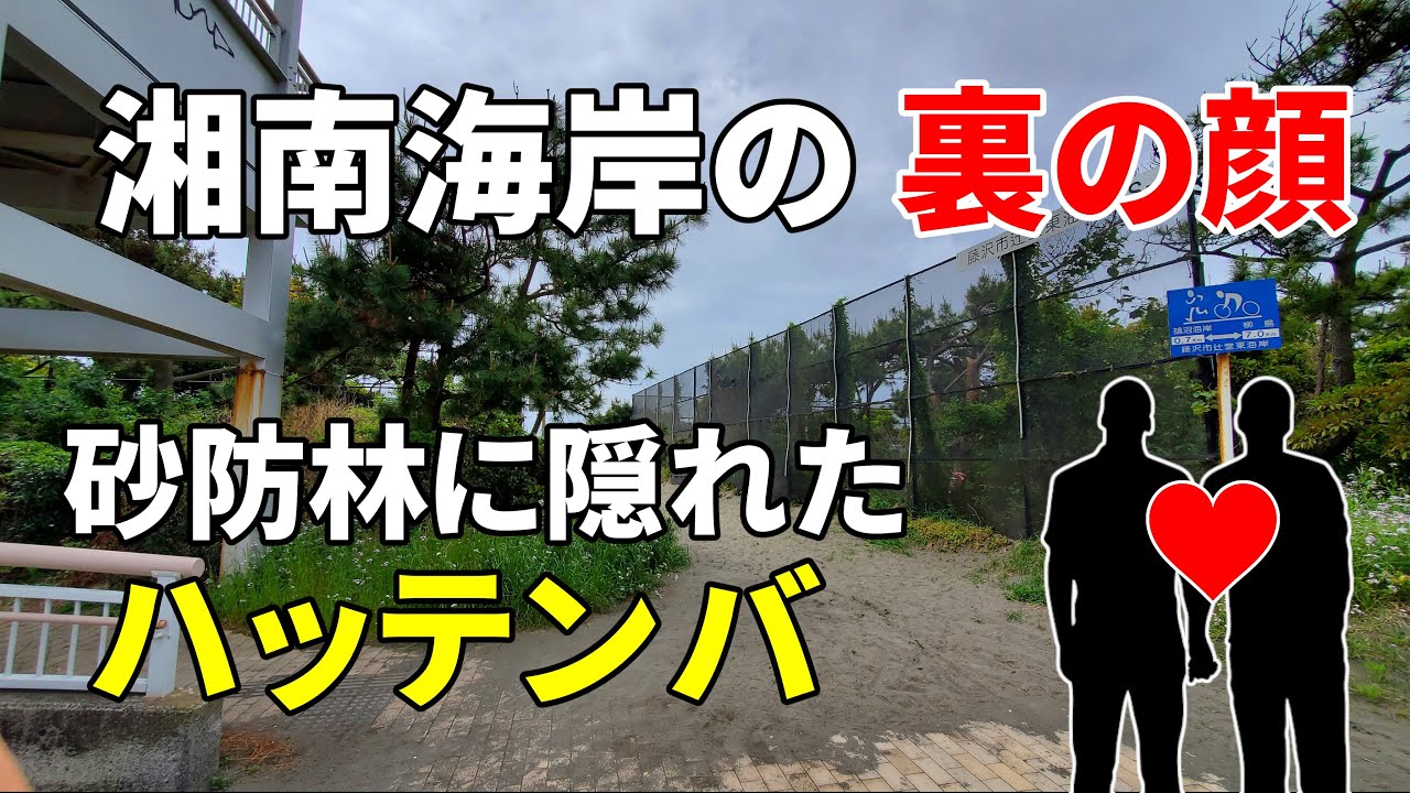 【湘南海岸の裏の顔】砂防林に隠れたハッテンバを歩く～鵠沼・辻堂 Shonan coast gay pairing spot