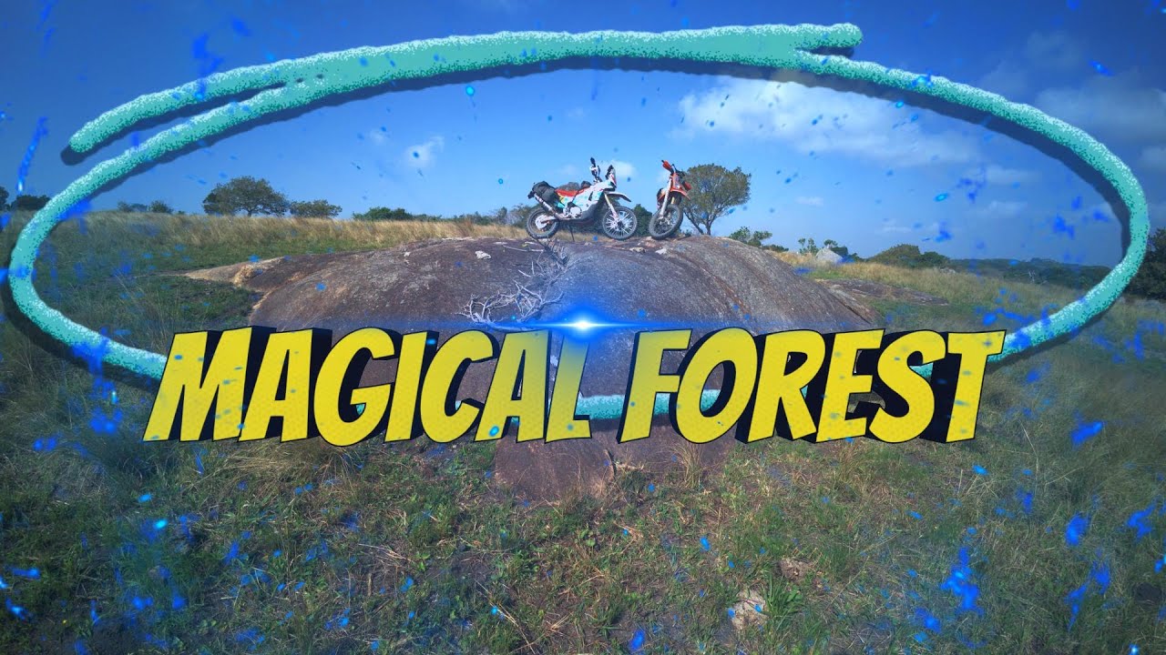 An Adventure ride to find a lost forest