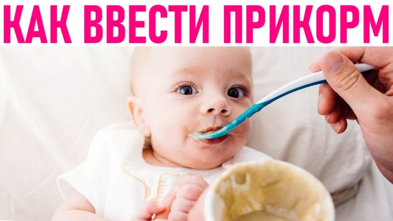 ВВОДИМ ПРИКОРМ | 10 экспертных советов о питании малышей