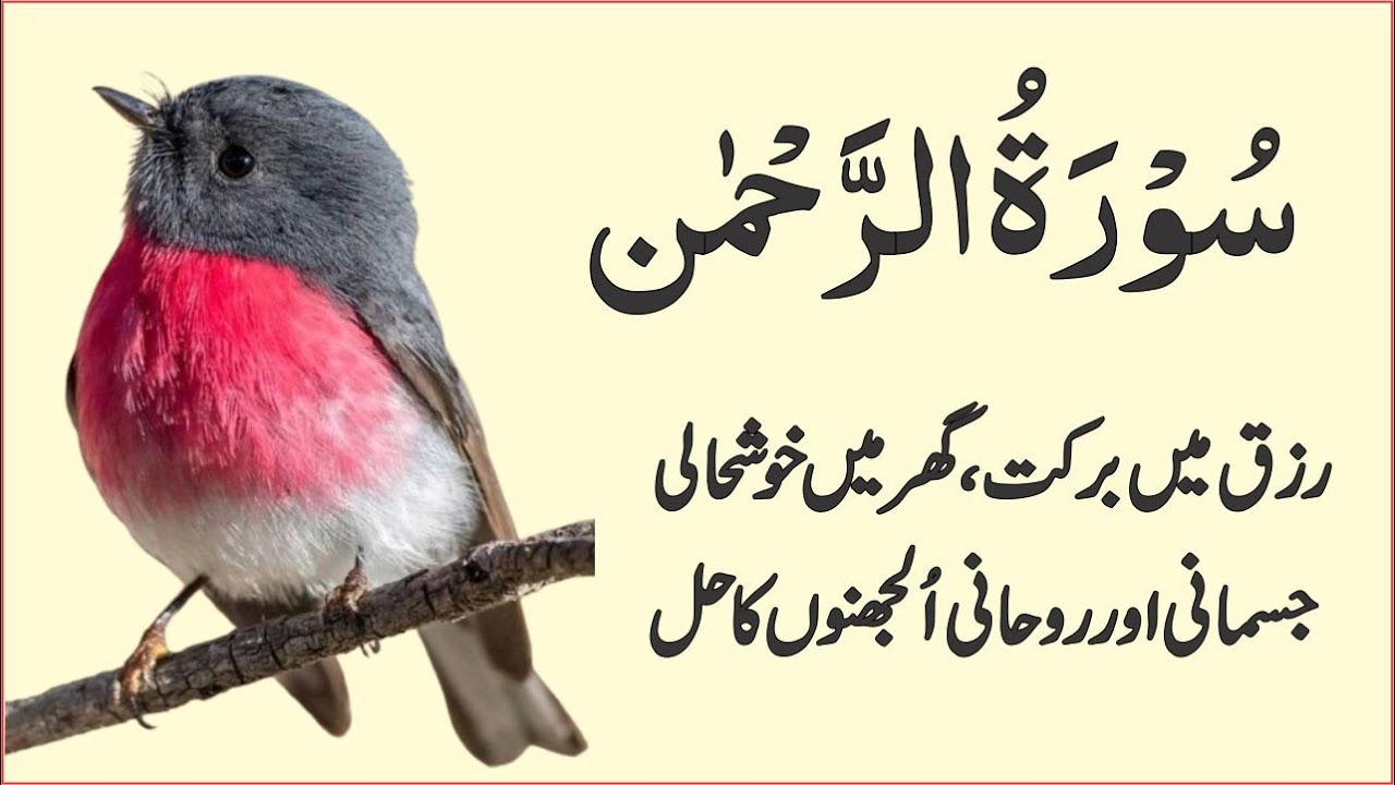 Surah Rahman Quran Recitation Beautiful Voice | سورۃ رحمنEp4721