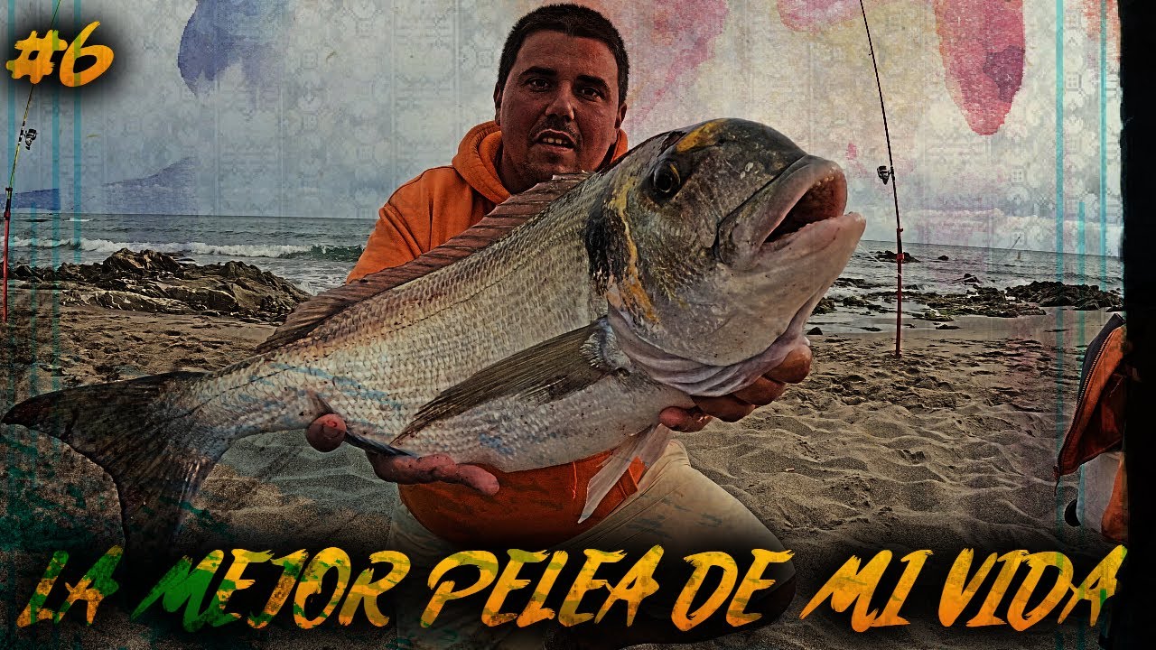 JORNADA SURFCASTING ,DORADA XXXL , LA PELEA DE MI VIDA en PIEDRAS