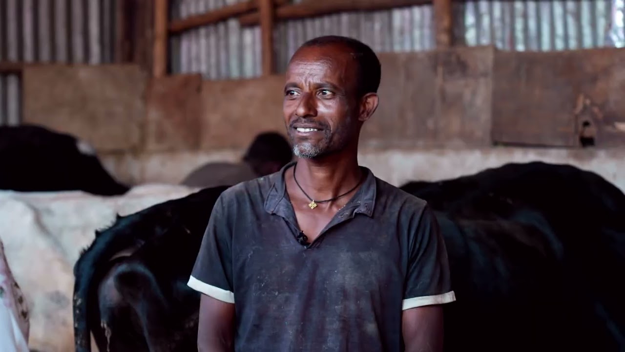 ከተማ ግብርና የተቀናጀ ግብርና ስራ