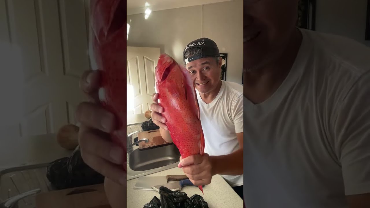 SOLOMON ISLANDS CORAL TROUTS OR LAPU LAPU AGAIN????