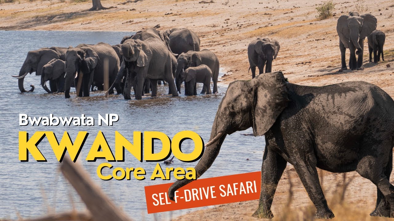 CAPRIVI Namibia 🇳🇦 Überall Elefanten! Die Kwando Core Area im Bwabwata NP | Roadtrip Afrika