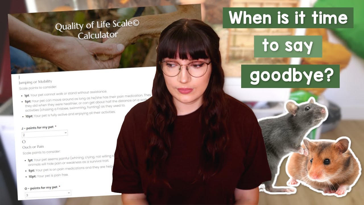 Quality of life in Rodents - When is it time to say goodbye?