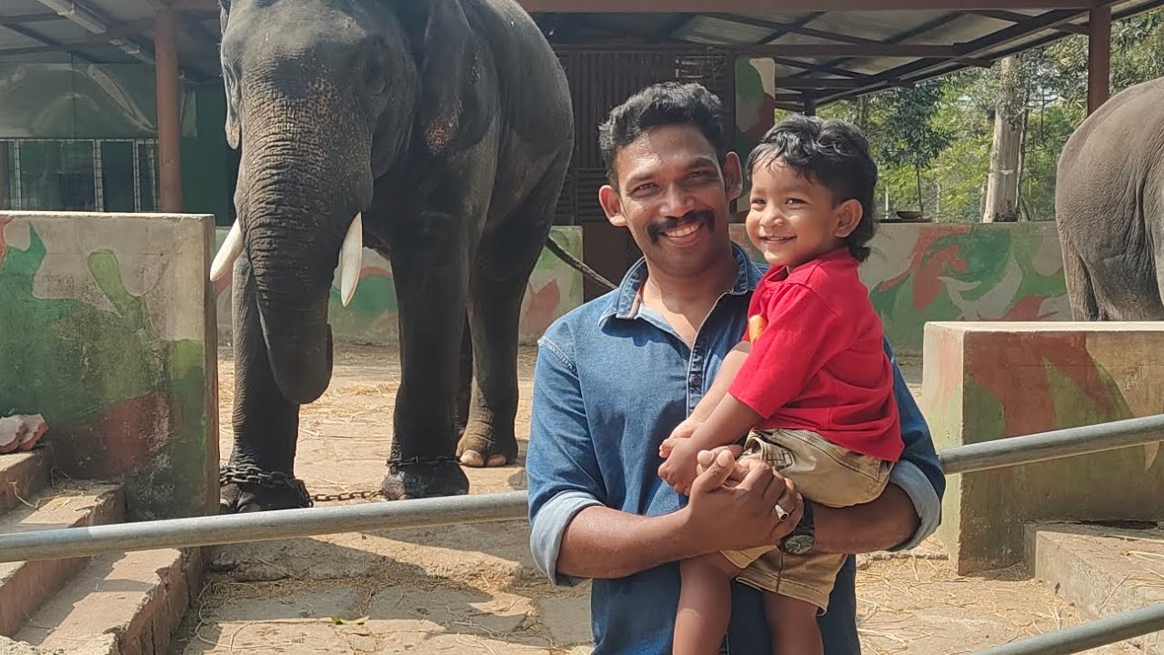 Aanaye kandallo.... (Dubare Elephant camp and Bamboo forest trip....)