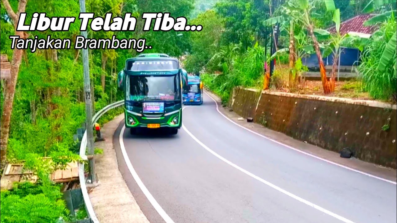 Libur telah tiba!! Update terbaru hunting di jalur wisata hutan pinus pengger