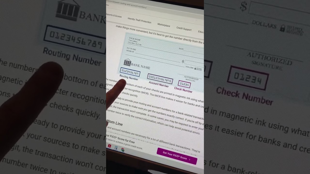 Routing vs account number