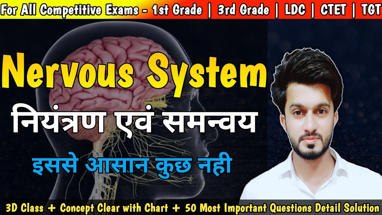 Nervous System in Hindi | नियंत्रण एवं समन्वय | 1st Grade | 3rd Grade | Easy Science | Sajid Sir