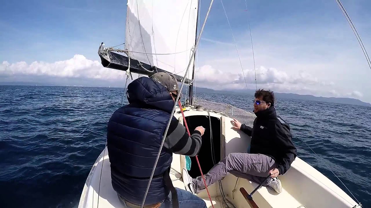 Kelt 550