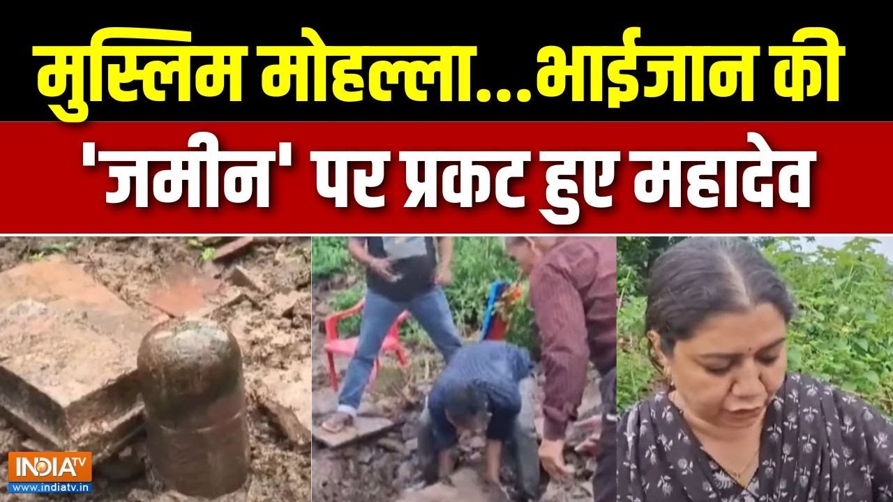 Madhya Pradesh Shivling News : अवतरित हुए 'भोलेनाथ'...सरकारी लूट की पोल खोल दी | Vidisha Viral News