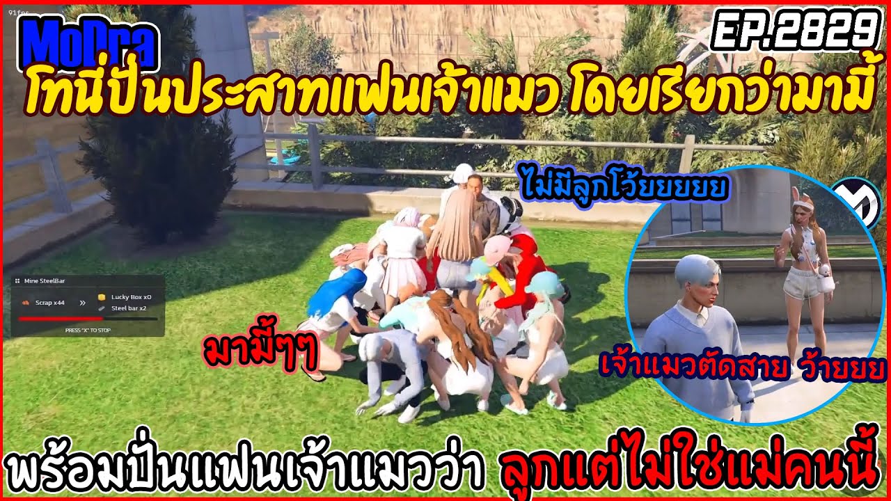 เมื่อโทนี่ปั่นประสาทเเฟนเจ้าแมว โดยเรียกว่ามามี้ จนบ้านเกือบแแตก EP.2830