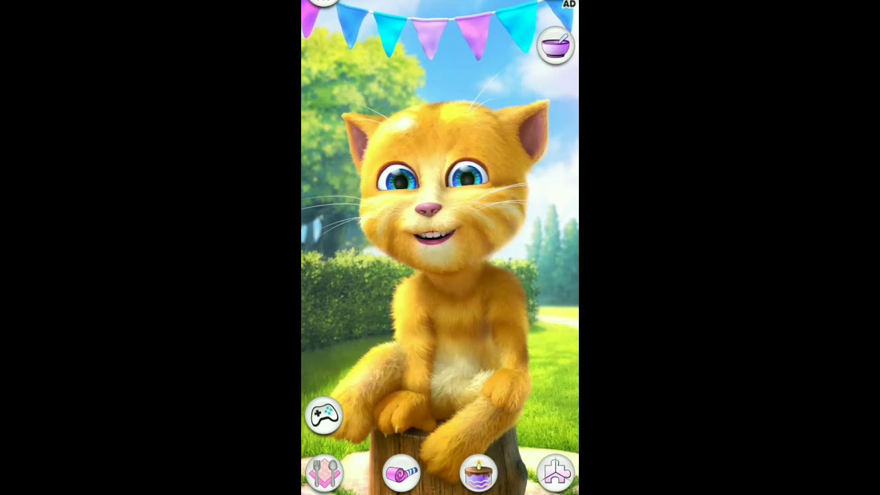 Talking Ginger Live Streaming