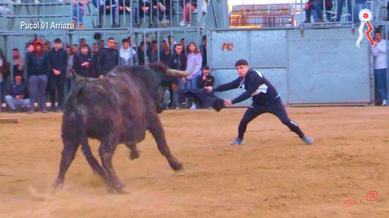 PUCOL 02 ESPECIAL Ganadería  ARRIAZU