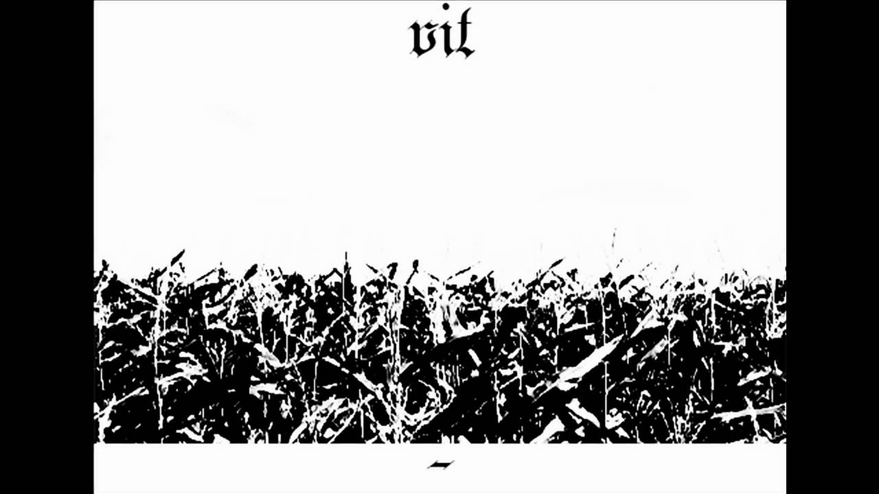 Vit - Swansylvania