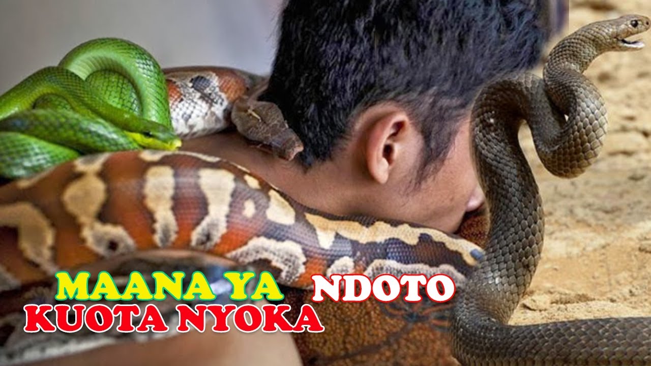 Maana ya Ndoto za NYOKA Utajiri au Umasikini/ukiota Nyoka jua ni haya hapa maana yake......