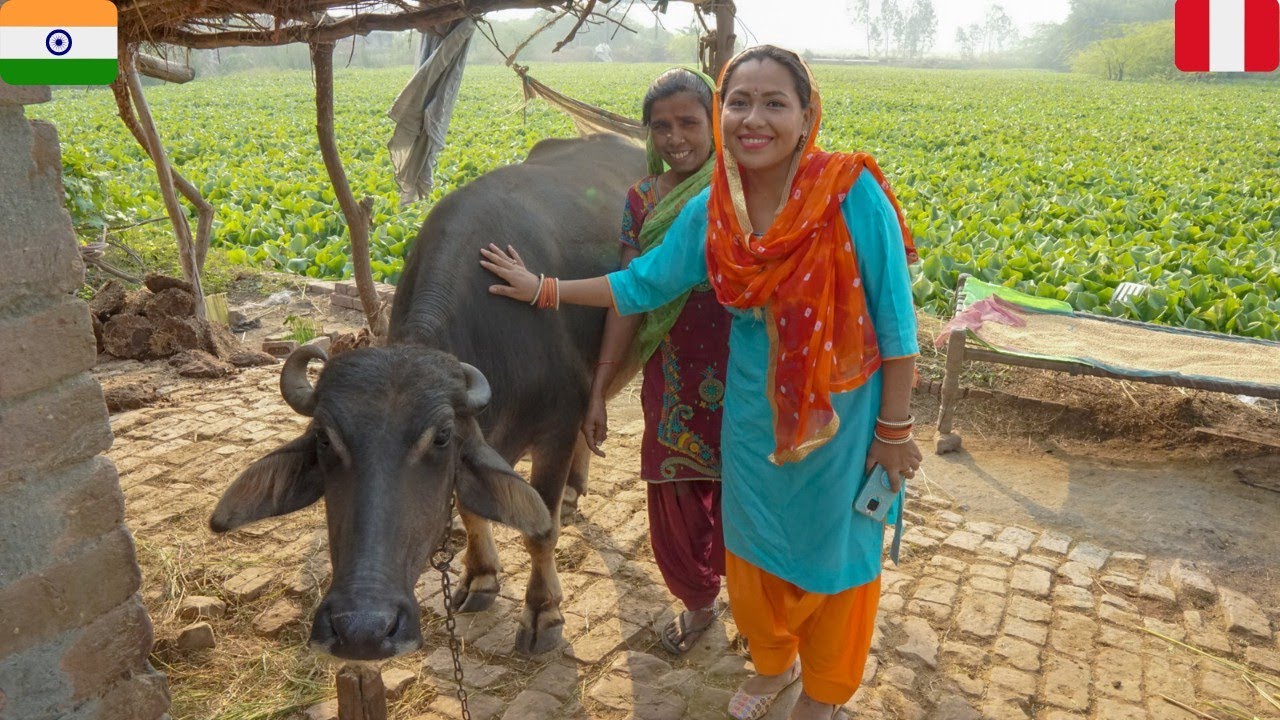 ASÍ ES LA VIDA DE UNA MUJER DE PUEBLO EN INDIA ~ aún más lejos que el pueblo de mis suegros 😱