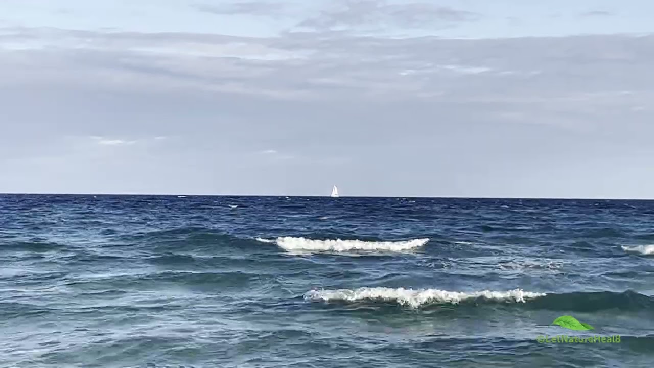 4K 1 Hour Atlantic Ocean Waves 🌊⛵ | Blue Sea, Sailboat & Natural Sounds #ocean #nature #sea