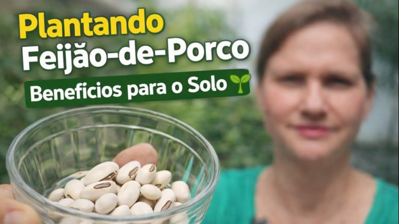 Plantando Feijão-de-Porco: Benefícios Reais para o Solo
