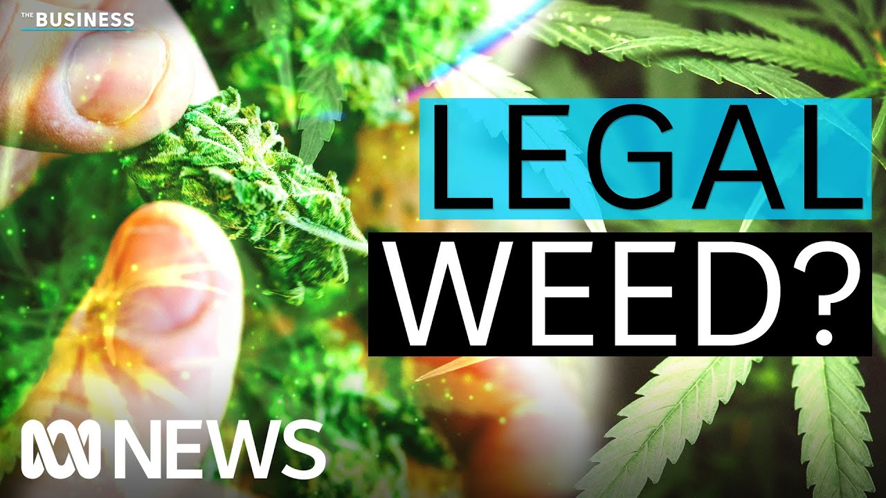 When will marijuana be legalised for adult use in Australia? | The Business | ABC News
