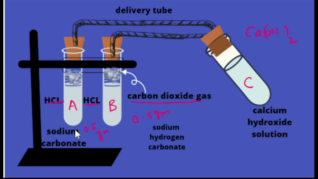 REACTIONS OF METAL CARBONATES AND METAL HYDROGEN CARBONATES WITH ACIDS AND NEUTRALISATION REACTIONS