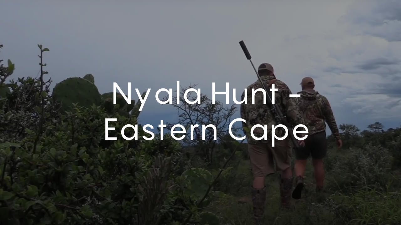 Nyala Hunt - Eastern Cape