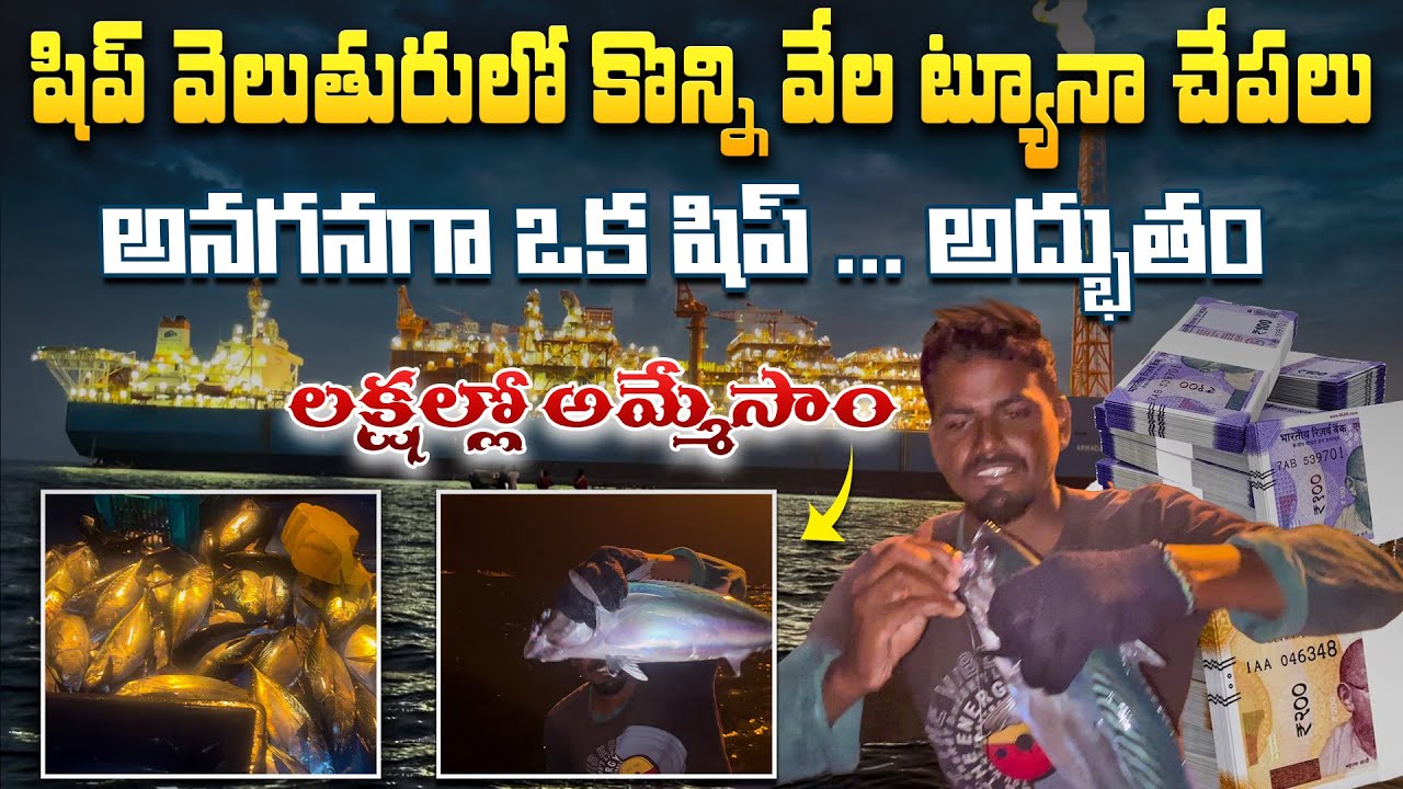 కొన్ని వేల ట్యూనా చేపలు పట్టుకున్నాం పెద్ద ship వెలుతురులో  :  Tuna fish hunting | Hari Gangaputra