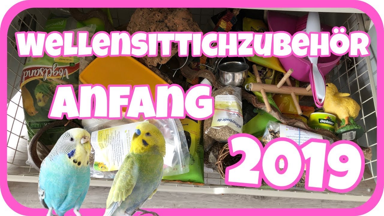 Mein Wellensittichzubehör Anfang 2019😍💁🏼‍♀️ Daily Vlog 16.03.2019