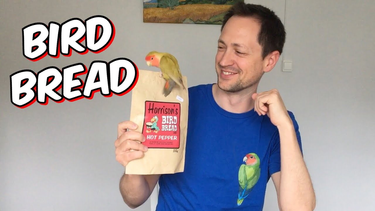 Baking bird bread with Paquito