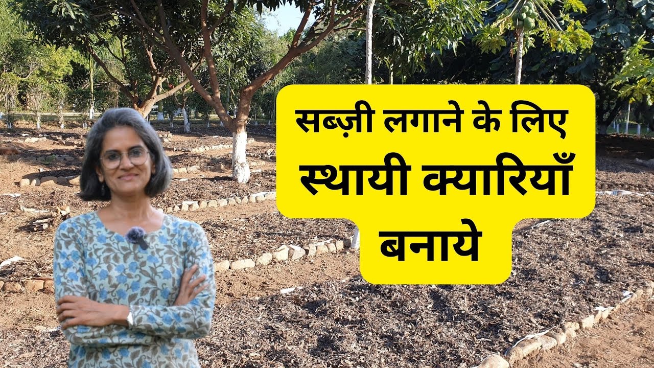 Make Permanent Vegetable Beds | सब्ज़ी स्थायी क्यारी में लगायें