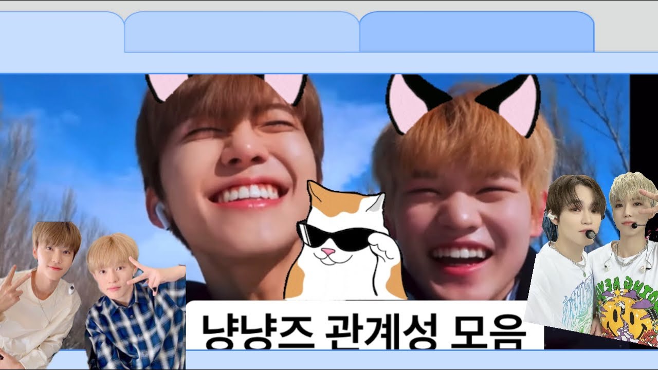[재민,천러] 고양이 합사의 성공 사례 냥냥즈  재민&천러 관계성😽