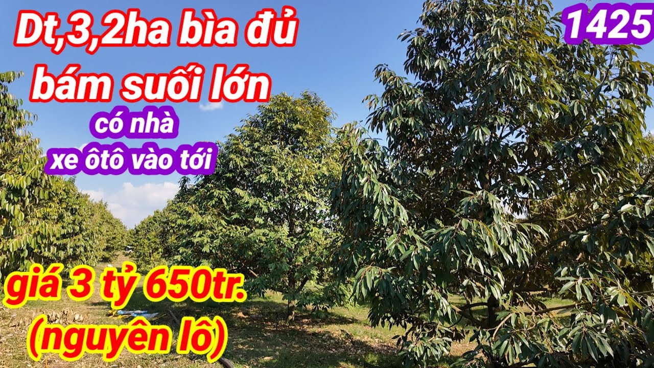 Bán vườn sầu riêng 3,2ha có bìa đủ, bám suối lớn, giá 3 tỷ 650tr nguyên lô, huyện đức cơ