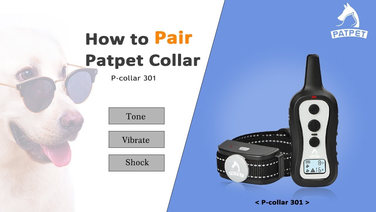 Pair the Dog Training Collar | Patpet 301