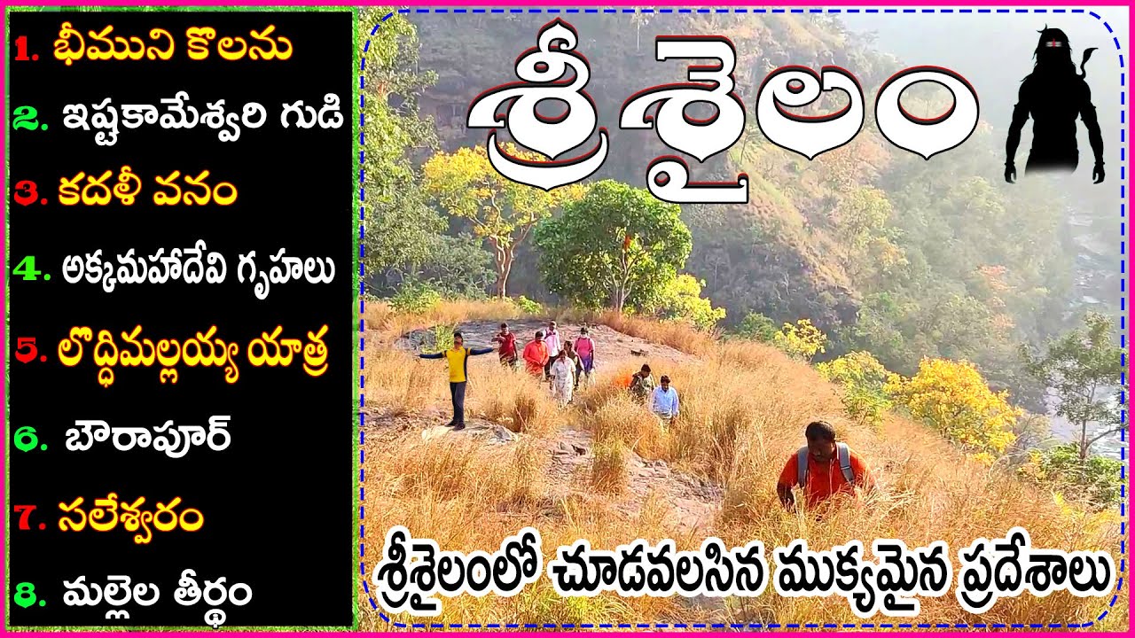 #Srisailam. శ్రీశైలం దట్టమైన అడవిలోవున్న Temples. Nallamala Forest. istakameswari temple. kadalivana