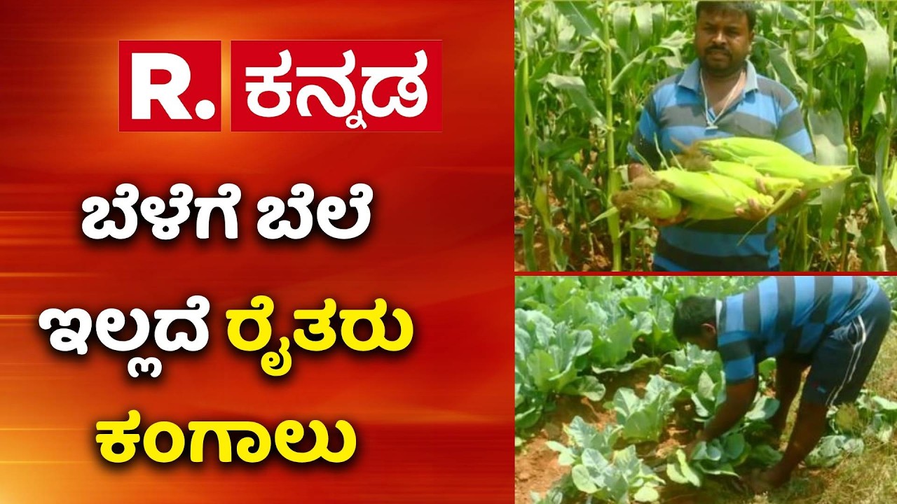 US-Israel Vs Iran War Effect : ಬೆಳೆಗೆ ಬೆಲೆ ಇಲ್ಲದೆ ಕೋಲಾರದ ರೈತರು ಕಂಗಾಲು | Vegetables  Price Drop
