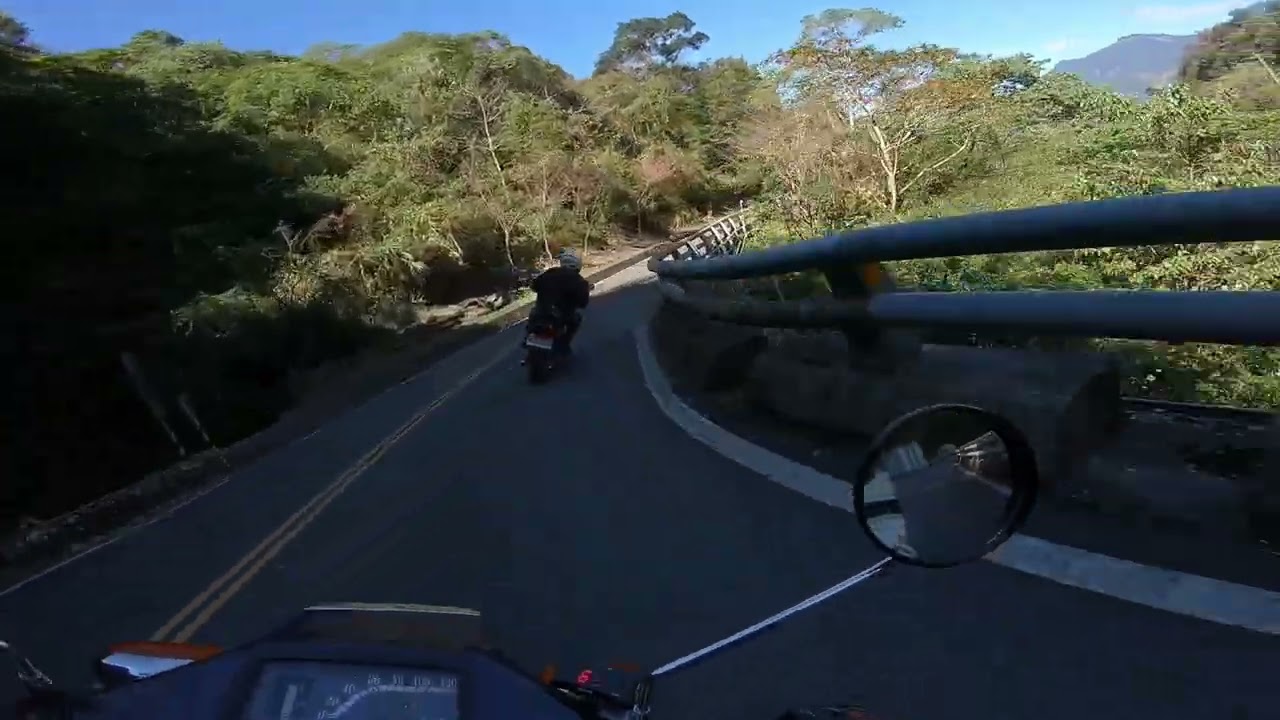 霧台 美的 雄獅追走